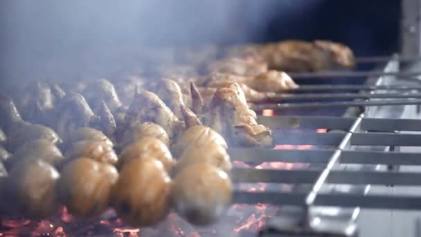 Cook roasts juicy kebab barbecue on the grill slowmotion. barbecue on the grill. Chunks of beef and pork on skewers. Vegetables on skewers. — Stock Video