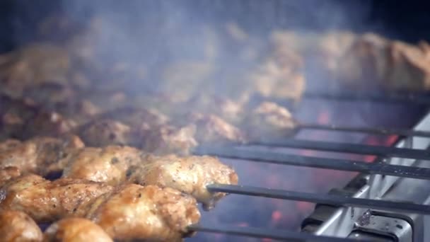 Cook roasts juicy kebab barbecue on the grill slowmotion. barbecue on the grill. Chunks of beef and pork on skewers. Vegetables on skewers. — Stock Video