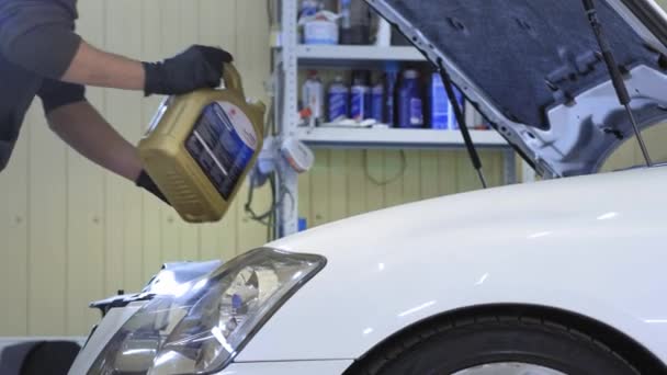 En service arbetare häller syntetisk olja i en personbil i en service station — Stockvideo