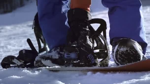 Ο επαγγελματίας αναβάτης βάζει σνόουμπορντ στα πόδια του. Συνδετήρες κουμπιών. Ετοιμάζομαι για σκι ή σνόουμπορντ. Απολαμβάνει χειμερινά σπορ — Αρχείο Βίντεο