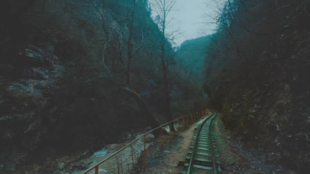 Un vecchio treno o una locomotiva viaggia lungo una ferrovia a scartamento ridotto in una gola stretta. Il treno viaggia lungo il fondo della gola, vicino a un fiume di montagna . — Video Stock