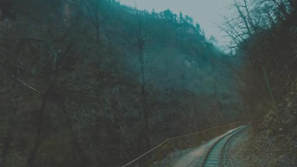 Un tren viejo o una locomotora está viajando a lo largo de un ferrocarril de vía estrecha en un desfiladero estrecho. El tren viaja a lo largo del fondo de la garganta, junto a un río de montaña . — Vídeo de stock