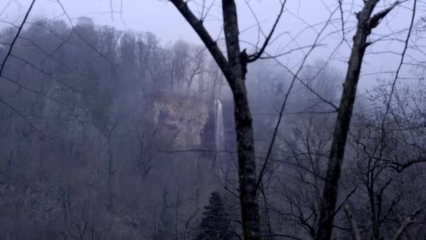 山の中の薄暗い霧の森。山頂からは、川から滝が流れ落ちる。不吉悲しい風景. — ストック動画