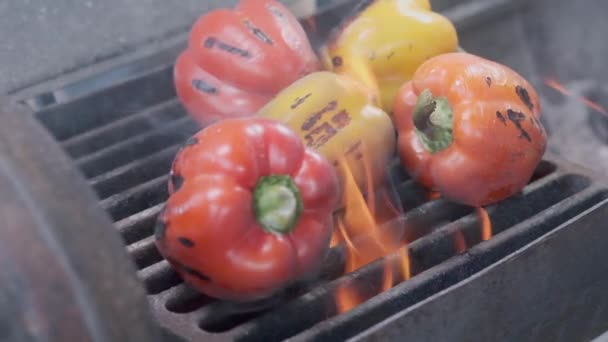Geassorteerde heerlijk gegrilde vlees met groente over de kolen op een barbecue — Stockvideo