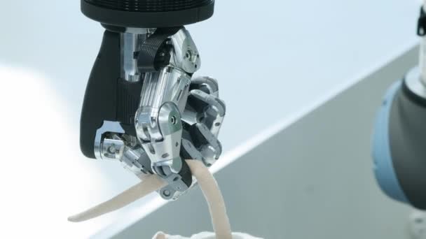 우리 가운데 새로운 기술. 로봇의 손이 꼬리에 의해 마우스 모양의 부드러운 장난감을 걸립니다. 미래 오늘. — 비디오