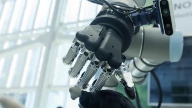 Bizim aramızda yeni teknolojiler. Robotun eli, kuyruk tarafından fare şeklinde yumuşak bir oyuncak alır. Gelecek bugün.