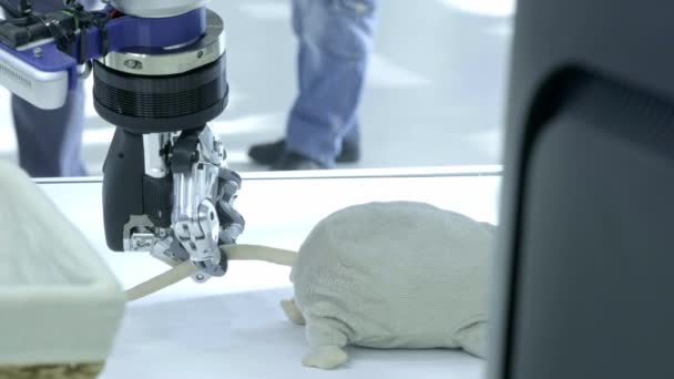 Les nouvelles technologies parmi nous. La main du robot prend une peluche en forme de souris par la queue — Video