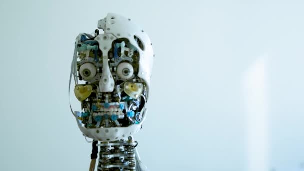 Futuristic humanoid female robot is idle. Concept of future. The head of a humanoid android humanoid robot. The robot turns his head, blinks his eyes. Android skull. — Stock Video