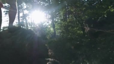 Slow Motion, Close Up: Dağcı dağcılık botları ve tanınmaz maceracı erkek yürüyüşçü dağ zirvesine tırmanma detay, ormanda güzel güneşli yaz gününde yokuş yukarı yürüyüş