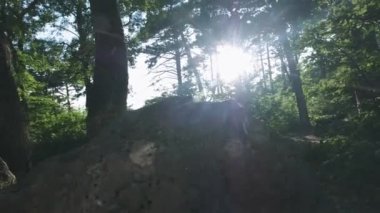 Slow Motion, Close Up: Dağcı dağcılık botları ve tanınmaz maceracı erkek yürüyüşçü dağ zirvesine tırmanma detay, ormanda güzel güneşli yaz gününde yokuş yukarı yürüyüş