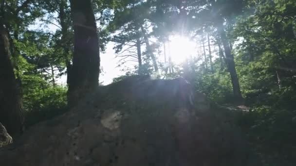 Zeitlupe, Nahaufnahme: Detail aus Wanderschuhen und nicht wiederzuerkennenden abenteuerlustigen männlichen Wanderern, die den Gipfel erklimmen, an einem schönen sonnigen Sommertag im Wald bergauf wandern — Stockvideo