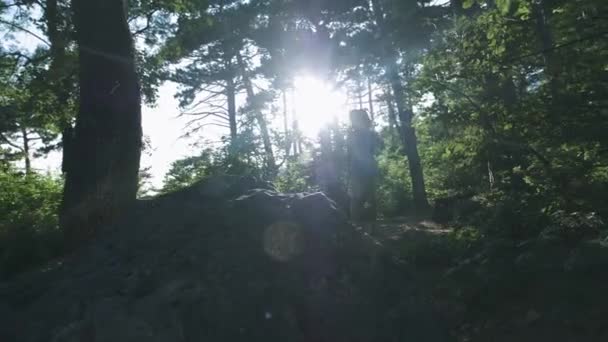 スローモーション、クローズアップ:ハイカー登山ブーツと認識できない冒険的な男性ハイカー登山山のピーク、森の美しい晴れた夏の日に上り坂をハイキングの詳細 — ストック動画