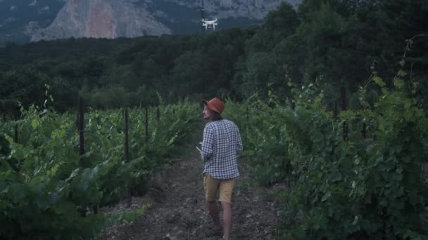 Чоловік-фермер використовує дрон для вирощування. Спостерігає за його виноградним полем. Нові технології в сільському господарстві — стокове відео
