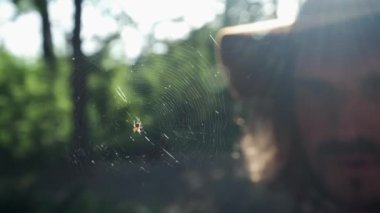 Ormanda genç bir adam ağüzerinde büyük bir örümceği keşfediyor. Gezgin ağa büyük bir örümcekle bakar. Doğal varoluş koşullarında böceklerin bilimsel çalışmaları