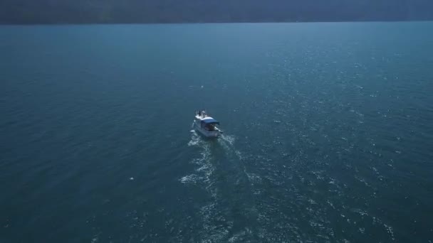 空中：一群海豚从船旁的水中跳下。海豚在船前游泳。海豚在追逐鱼。海边的暑假. — 图库视频影像