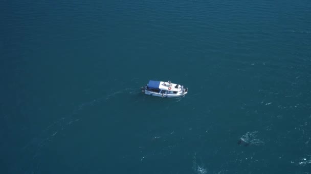 AERIAL: Una bandada de delfines salta del agua al lado del barco. Los delfines nadan frente al barco. Los delfines persiguen a los peces. Vacaciones de verano junto al mar . — Vídeo de stock