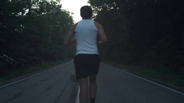 Um homem a correr na natureza à noite chuvosa. Corredor masculino fazendo uma corrida ao entardecer em uma estrada entre pinheiros na floresta. Envolvido em um estilo de vida esportivo ativo. Fortalece seu corpo. Esportes na natureza — Vídeo de Stock