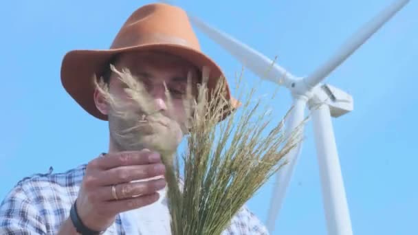 Bir çiftçi bir rüzgar türbininin arka planındaki buğdayı kontrol eder. Tarımda modern çevre teknolojileri — Stok video