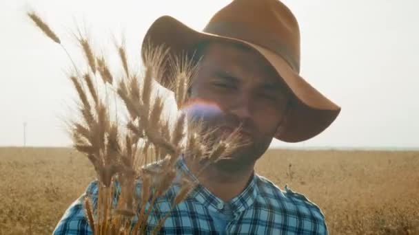 Een boer houdt een heleboel tarwe. Oogsten in de herfst. — Stockvideo