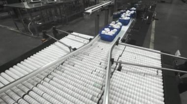 Mantar üretimi. Üretim hattı mantarlı konteynırları paketliyor. Mavi konteynırlar taşıyıcı boyunca hareket ediyor. Organik gıda üretimi. Uzun vadeli depolama için gıda ambalajı.