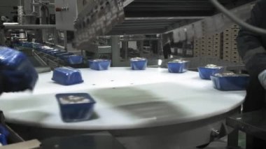Mantar üretimi. Üretim hattı mantarlı konteynırları paketliyor. Mavi konteynırlar taşıyıcı boyunca hareket ediyor. Organik gıda üretimi. Uzun vadeli depolama için gıda ambalajı.