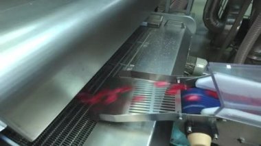 Karamel şeker imalatı. lolipop yapma. Karamel tatlıüretimi. Lolipoplar üretim hattında. Uzun karamel kütlesi