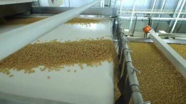 Makarna Fabrikası ve makarna üretim aşamaları. Modern gıda üretim fabrikasında makine ünitesinden Kuru makarna dökülmesini kapatın. Makarna üretimi için konveyör hattı. Iş yerinde Makarna Fabrikası.