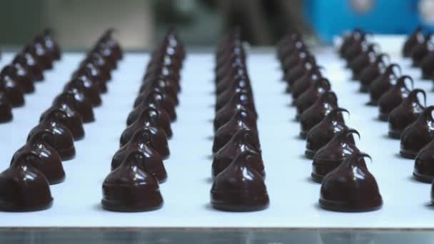 Çikolata çikolata üretimi - gıda endüstrisi süreci. Üretim hattında bir sürü çikolata var. — Stok video