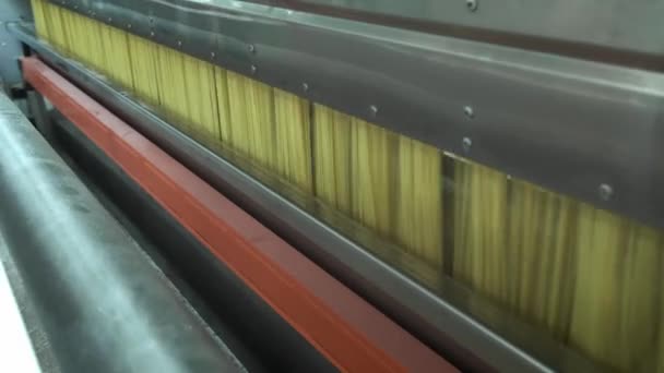 Fábrica de pasta y etapas de producción de pasta. Primer plano del derrame de macarrones secos de la unidad de la máquina en la moderna fábrica de producción de alimentos. Línea transportadora para la producción de macarrones. Fábrica de pasta en el trabajo . — Vídeo de stock