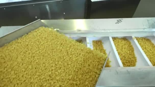 Usine de pâtes et étapes de production de pâtes. Gros plan du déversement de macaronis secs de l'unité de machine sur l'usine de production alimentaire moderne. Ligne de convoyeur pour la production de macaronis. Usine de pâtes au travail . — Video