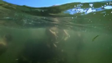 Genç Yakışıklı Çocuk Denize Atlıyor. Çocuklar taklaların denizine atlarlar. Gençler suya atlar. Suyun altında yüz ve oyna. Denizde yaz eğlencesi