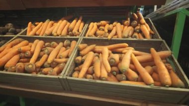 Bir süpermarkette rafta bir sürü havuç var.