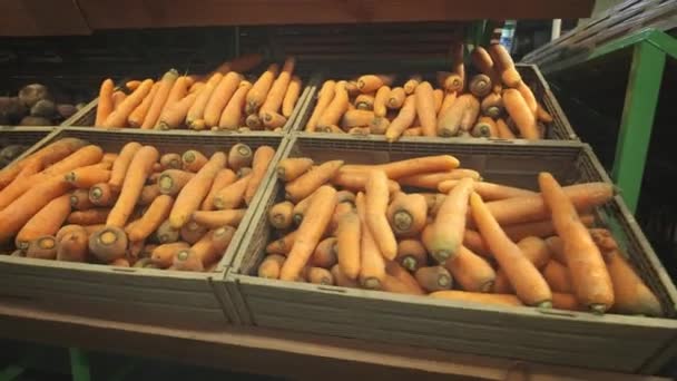 Много моркови на полке в супермаркете — стоковое видео