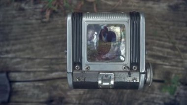 Vintage Tlr Twin lens refleks kamera vizörü ile ilk kişi görünümü. Eski vintage film kamerası. Eski bir arka plandaki kamera. Görüntüodaklanmak, kız bir köpek ile raylar üzerinde gidiyor