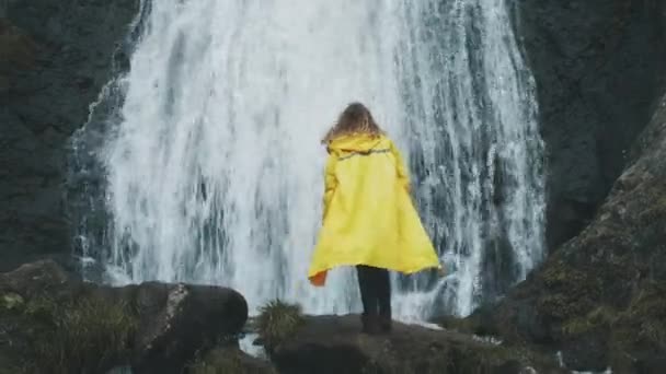 Jovem mulher braços estendidos atrás de cachoeira espetacular na Islândia. Tiro de jovem mulher estendendo os braços pela majestosa cachoeira. Conceito de sucesso e realização — Vídeo de Stock