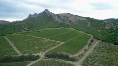 İtalyan Kırsal Güzel Çiftlikleri ve Üzüm Bağları Güzel Hava Görünümü. Kırsal İtalya, Çiftçi Çalışma Bağları Tarım Arazisi. Tarım Plantasyon Üzüm Asma Bağ İtalya. Hava Bağ Video