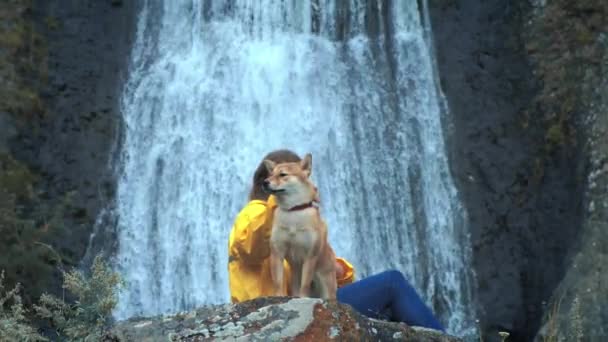 年轻的女旅行者穿着黄色的雨衣坐在瀑布前，与一只西巴伊努犬一起，享受大自然和生活。在山里旅行，在旅行中冒险。生活方式理念 — 图库视频影像
