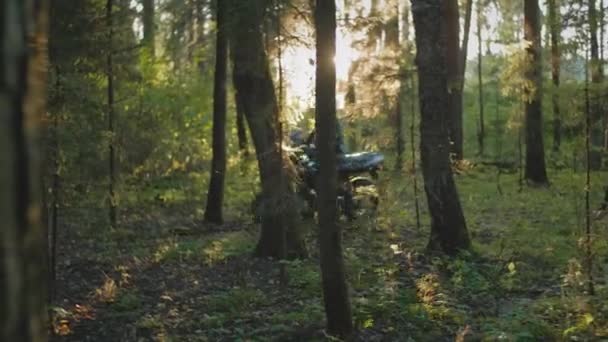 Motorcyclist biker rides slowly through the forest on a motorcycle. Forest path. Preparing for a bike trip. At sunset in the forest. Bikers enjoying trip — Stock Video