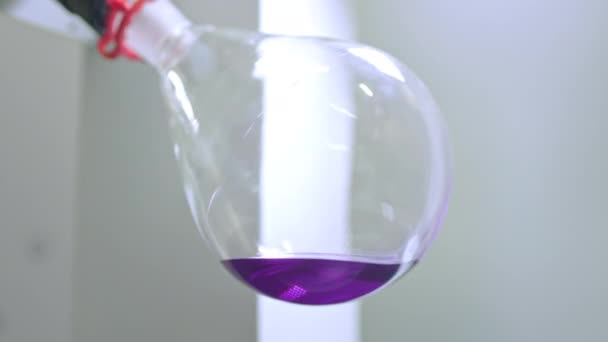 Glazen bol roteert in een laboratorium verdamper. Wetenschappelijk medisch laboratorium. Een inrichting voor het verdampen van vloeistoffen. De kolf draait. Studeren en zoeken. Paarse vloeistof in de reageerbuis. — Stockvideo