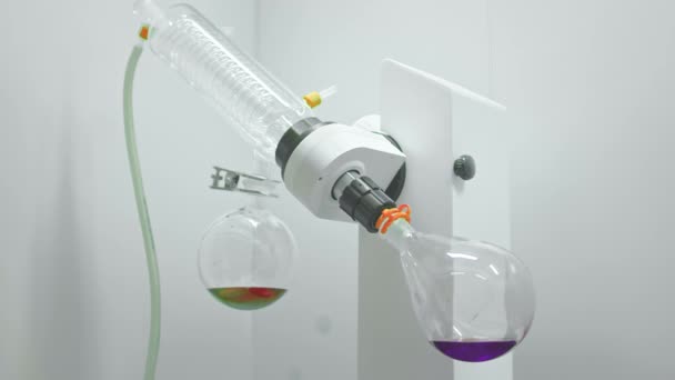 Lampadina di vetro ruota in un evaporatore di laboratorio. Laboratorio medico scientifico. Un dispositivo per l'evaporazione dei liquidi. La fiaschetta sta girando. Studiare e cercare. Liquido viola nella provetta. — Video Stock