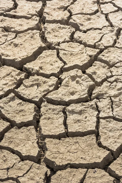 気候変動による砂漠の土壌。垂直. — ストック写真