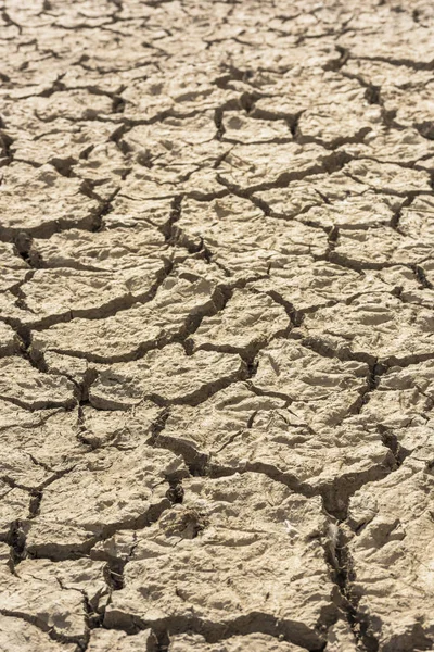 干ばつで地球がひび割れた。垂直. — ストック写真