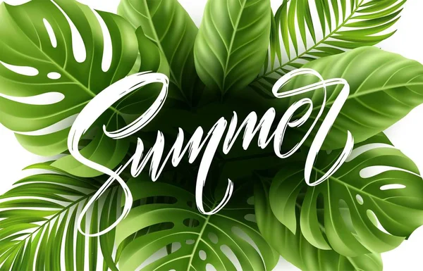 Lettere estive su sfondo foglia di palma. Illustrazione vettoriale — Vettoriale Stock