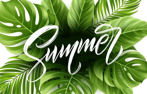 Letras de verano sobre fondo de hoja de palma. Ilustración vectorial — Vector de stock