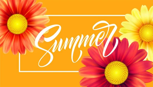 Daisy Flower Background and Summer Lettering (en inglés). Ilustración vectorial — Archivo Imágenes Vectoriales