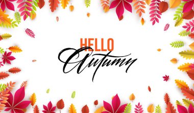 Merhaba sonbahar. Farklı renkli arka plan yaprak. Vektör çizim