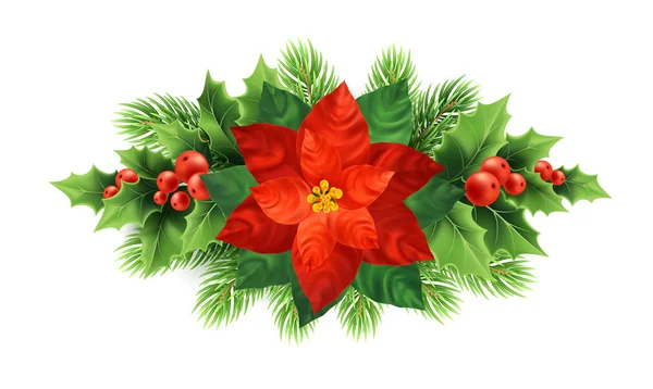 Czerwona poinsecja kwiat Boże Narodzenie ilustracja — Wektor stockowy