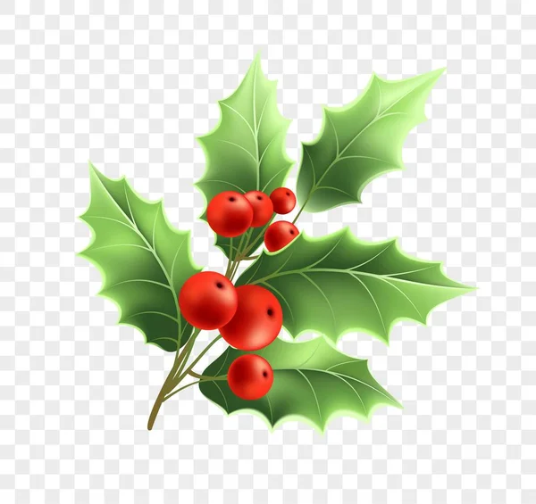 크리스마스 홀리 나뭇가지 현실적인 그림 — 스톡 벡터