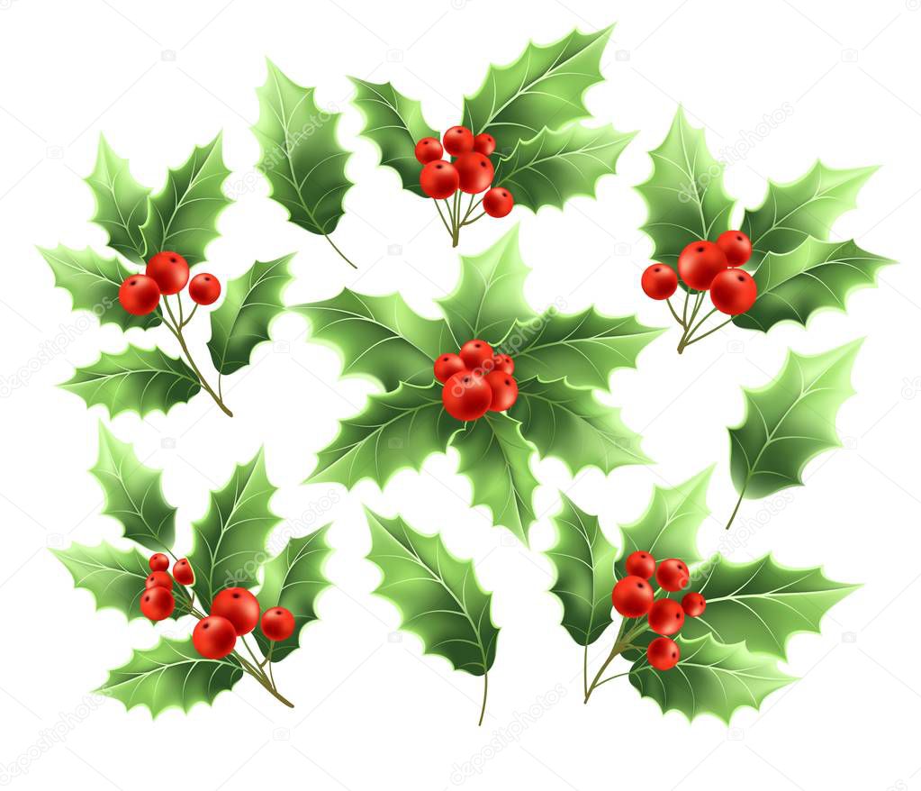 Christmas holly branches realistic illustrations set