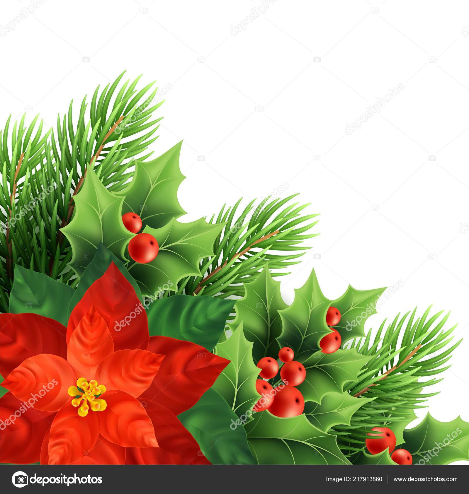 Niedlichen Cartoon Weihnachten Blume Weihnachtsstern